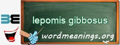 WordMeaning blackboard for lepomis gibbosus